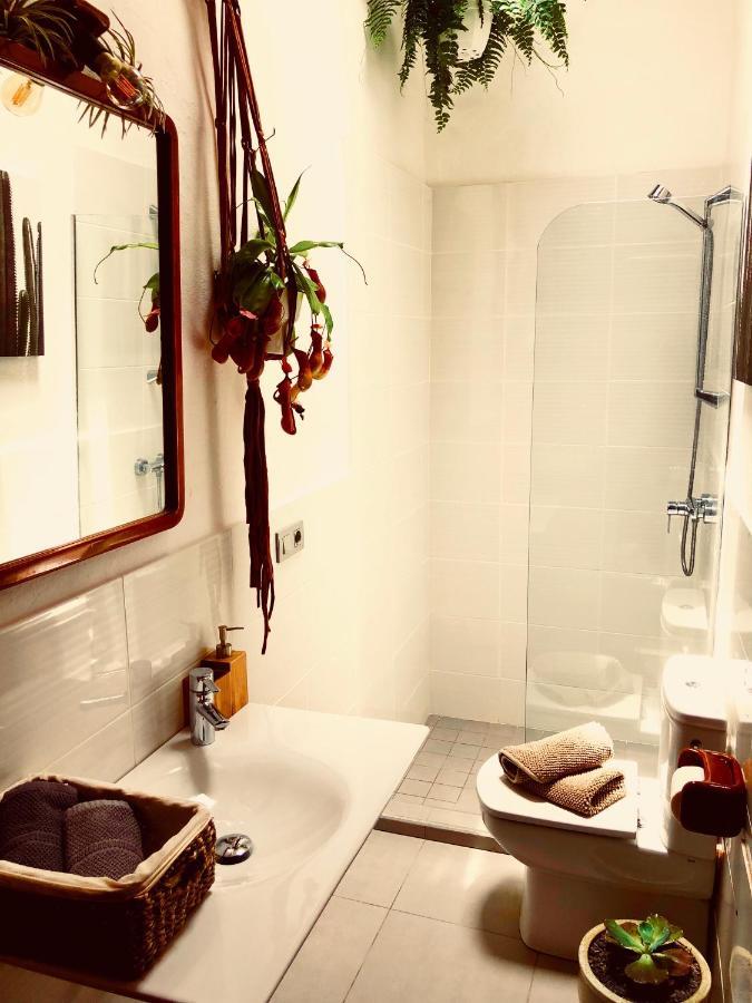Cuarto Botanico Studio - Shared Pool - Central Island Location - 10 Mins Drive To Famara And La Santa Tiagua Exteriér fotografie